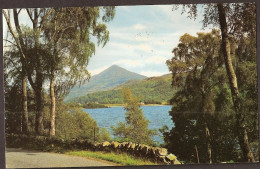 Loch Rannoch - Schiehallon Through The Birches - Canceled In Pitlochry - Perthshire - Perthshire