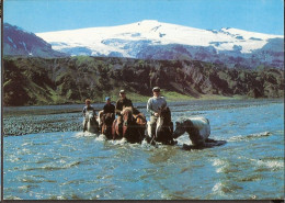 Chevaux - IJsland - River Krossá, Glacier Eyjafjallajökull Islandi, Iceland, Horses - Islande