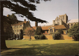 Winchester Cathedral - South Side - Winchester