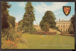 Cambridge - Clare College - The Gardens - Cambridge
