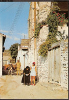 Cyprus - Typical Village Scene. Pakezel, Pack Esel, âne - Chypre