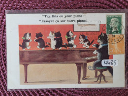 Essayez ça Chez Vous , Chats Qui Dansent Sur Un Piano - Katten