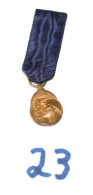 C23 Voluntariis Patria Memor 14-18  - Médaille  - Militaria - Décoration - Bélgica