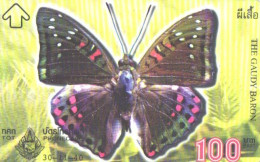 Thailand:Used Phonecard, TOT, Butterfly, The Gaudy Baron, 100 Baht - Thailand