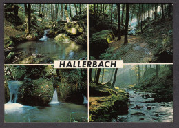 111559/ PETITE SUISSE, Hallerbach - Müllerthal