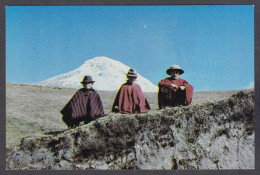 127636/ The Chimborazo Volcano - Equateur