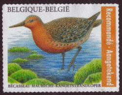 2023 Birds - Kanoetstrandloper - Red Knot - Registered Letter Stamp -TB- Perf.: 11½ - Gebraucht