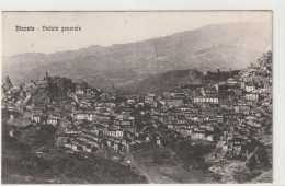 CARTOLINA - NICOSIA - VEDUTA GENERALE - Enna