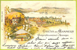 Ad4823 - SWITZERLAND - Ansichtskarten VINTAGE POSTCARD - Gruss Aus Mammern- 1899 - Mammern