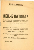 Kell-e Katona? Szeged.1919. Dobokay Béla őrnagy ( Szegedi Nemzeti Hadsereg) 21 Oldalas Tanulmánya LINDER Béla Könyvéről. - Old Books