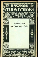 Dr. Hajnóczy Iván A Céhek életéből. XV. és XVI. Századbeli Céhszabályok.Bp. 1928. 48l - Libros Antiguos Y De Colección