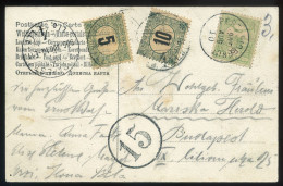 BUDAPEST MÁRIAREMETE 1905. Szép Képeslap, 10+5f Portózással - Cartas & Documentos