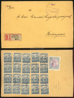I. INFLÁCIÓ 1924. TARDOS Dekoratív , Ajánlott Levél Budapestre - Covers & Documents