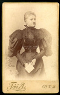 GYULA 1890. Ca. Fái : Hölgy, Visit Fotó - Old (before 1900)