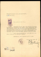 BÉKÉSCSABA 1946. Bizonyítvány, Zsidó Deportáltak, Családtagja Részére, érdekes Dokumentum - Other & Unclassified