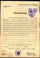 BÉKÉSCSABA 1945. Bizonyítvány, Zsidó Deportáltak, Családtagja Részére, érdekes Dokumentum - Otros & Sin Clasificación