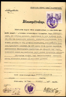 BÉKÉSCSABA 1945. Bizonyítvány, Zsidó Deportáltak, Családtagja Részére, érdekes Dokumentum - Other & Unclassified