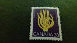 CANADA  38 CLAVULINOPSIS FUSIFORMIS  NEUF TTB - Unused Stamps