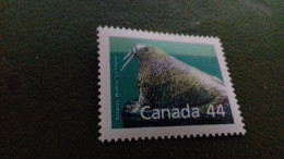 CANADA  44 LE MORSE NEUF TTB - Unused Stamps