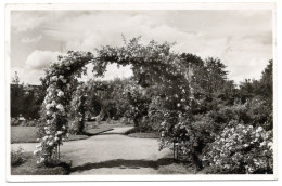 ZWEIBRUCKEN  CPA Im Rosengarten - Zweibruecken