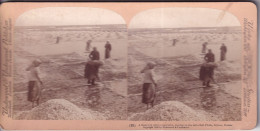 Carte Stéréoscopique  -  Russia - Stereoscope Cards