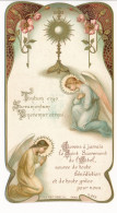 Image Pieuse Ancienne Art Nouveau Communion Editeur TURGIS N°245 - Images Religieuses