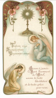 Image Pieuse Ancienne Art Nouveau Communion Editeur TURGIS N°245 - Images Religieuses