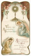 Image Pieuse Ancienne Art Nouveau Communion Editeur TURGIS N°245 - Andachtsbilder