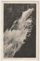 SUISSE 147 : Giessbachfall Am Brinzersee : édit. Kunst Brienz N° 866 - Brienz