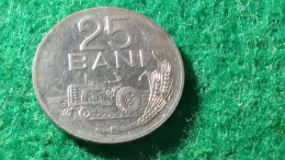 ROMANYA - 1966    25   BANİ - Roumanie