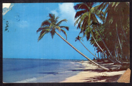 Trinidad - 1962 - Pigeon Point Beach - Trinidad