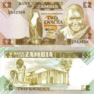 Zambia / 2 Kwacha / 1980 / P-24(c) / UNC - Sambia