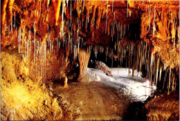 24-1-2024 (2 X 15) Australia (2 Pre-pai Maxicqrd) - NSW - Jenelan Caves & Tweed Valley - Altri & Non Classificati