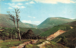 ECOSSE - The Forest Of Rothiemurchus - The Lairig Ghru Passe On The Cairngorms - Carte Postale Ancienne - Inverness-shire