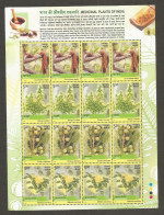 India 2003 Medicinal Plants MINT SHEET LET Good Condition  (SL-11) - Neufs