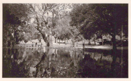 84 / MALAUCENE / JOLIE PHOTO 1956 / NOTRE DAME DU GROSEAU / LE LAC - Malaucene