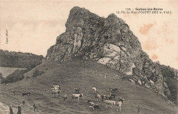 FRANCE - Salins Les Bains - Un Pic Du Mont Poupet - Carte Postale Ancienne - Other & Unclassified