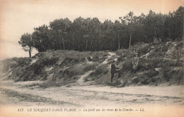 FRANCE - Le Touquet Paris Plage - La Forêt Sur Les Rives De La Canche - LL - Carte Postale Ancienne - Le Touquet