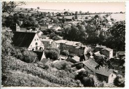 CPSM Dentelée 10.5 X 15 Isère SAINT CHEF (9) Vue Générale   "photographie Véritable" - Saint-Chef