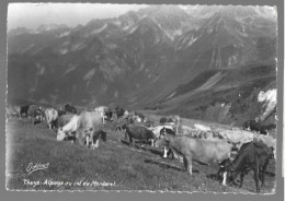 Theys, Alpage Au Col Du Merdaret. Carte Inédite (GF3596) - Theys