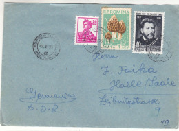 Roumanie - Lettre De 1959 - Oblit MorouniSanatoriu - Champignons - - Storia Postale