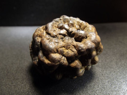 Marcassite Nodule ( 4 X 3 X 3 Cm) Wimereux - Pas De Calais - France - Minéraux