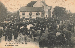 Morlaix * La Foire Haute * Marché Aux Bestiaux * Vve LAMANDA A St Nicolas Station Des Haras * Villageois - Morlaix