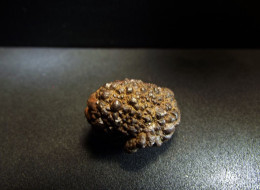 Marcassite Nodule ( 2.5 X 1.5 X 1.5 Cm) - Wimereux - Pas De Calais - France - Minerales