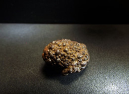 Marcassite Nodule ( 2.5 X 1.5 X 1.5 Cm) - Wimereux - Pas De Calais - France - Minéraux