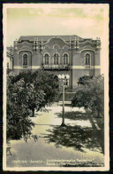 BARREIRO - Sociedade Recreativa "Penicheiros" ( Ed. Laurinda Grave Dos Santos/ Cliché Alvaro Ferros) Carte Postale - Setúbal