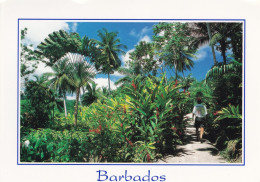 BRB 02 01 - BARBADOS - WEST INDIES - TROPICAL PARADISE IN THE FLOWER FOREST (12 X 17 Cm) - Barbados