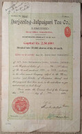 INDIA 1923 DARJEELING - JALPAIGURI TEA COMPANY LIMITED, TEA ESTATE....SHARE CERTIFICATE - Landwirtschaft