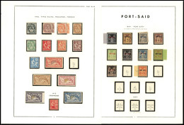 Neuf Sans Charnière Collection Sans Les Grosses Valeurs, S/feuilles MOC Avec Pochettes, TB - Photo WEB - Andere & Zonder Classificatie