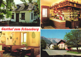 SCHNEEBERG, MULTIPLE VIEWS, ARCHITECTURE, RESTAURANT, CAR, PENSION, GERMANY, POSTCARD - Schneeberg